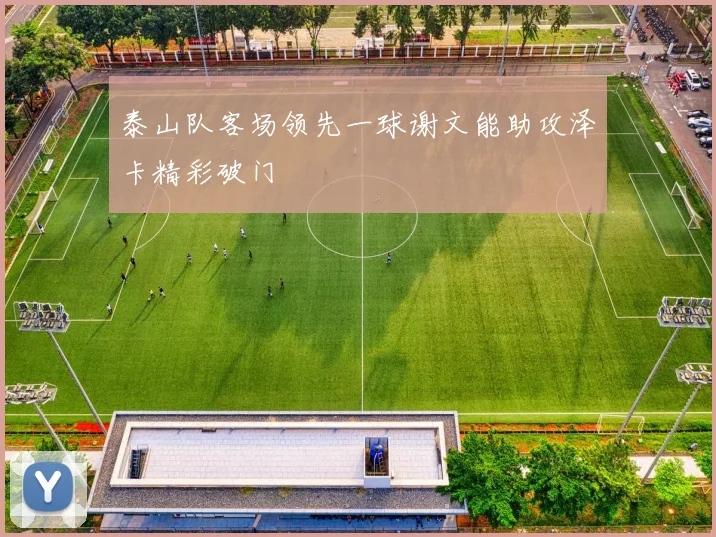泰山队客场领先一球谢文能助攻泽卡精彩破门