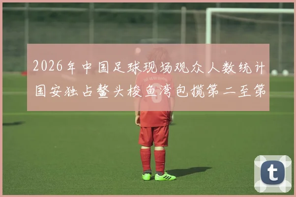 2026年中国足球现场观众人数统计国安独占鳌头梭鱼湾包揽第二至第七位